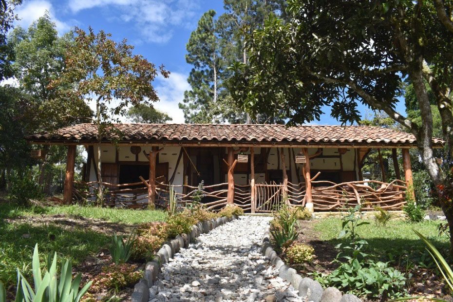 Rana y Tortuga La Casa De Francois San Agustin